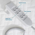Comfort Collection Standard Adjustable Bed Base