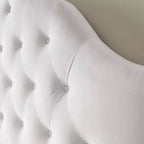 Sovereign-hoofdbord voor queensize bed, met ruitvormige knopen en slijtvast fluweel
